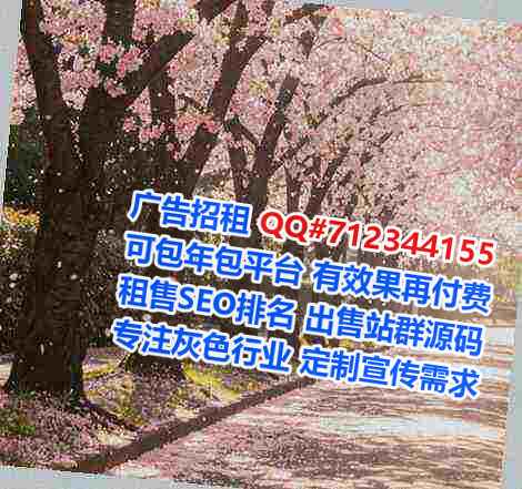 云城生子系统集成公司